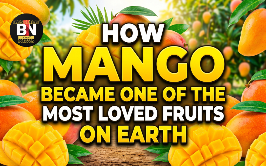 how mango became one of the most loved fruits on earth