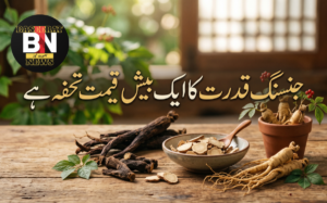 جنسنگ قدرت کا انمول تحفہ