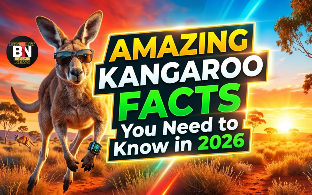 Amazing Kangaroo Facts You Need to Know in 2026