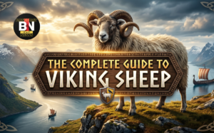 the complete guide to viking sheep